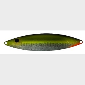 Salmo Salar Nr.0243