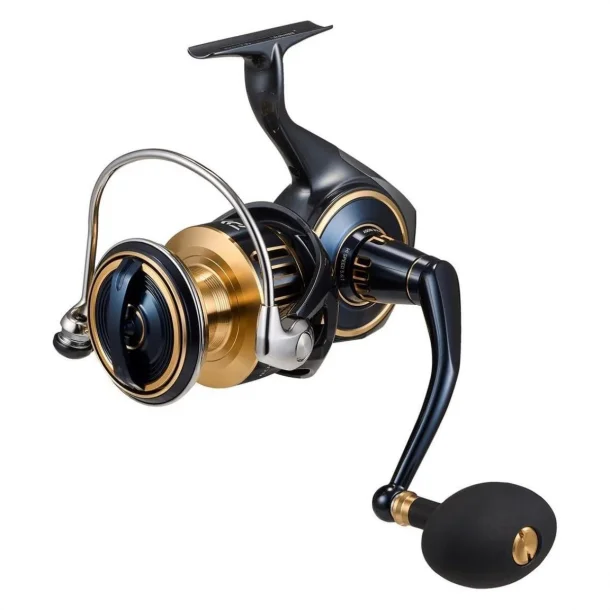 25 Daiwa SALTIGA 8000-H