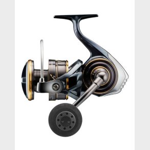 Daiwa Caldia SW 8000H