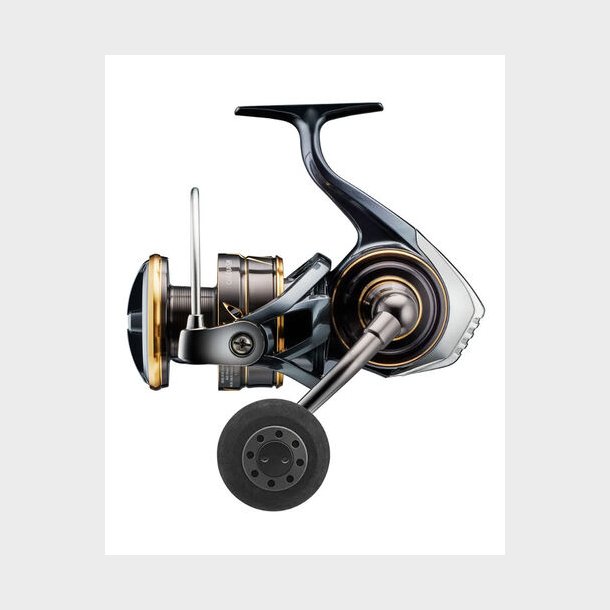 Daiwa Caldia SW 8000H