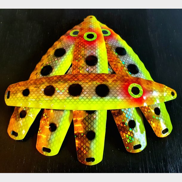 Hybrid Stor Nr. 52 Orange-Yellow Black Dot