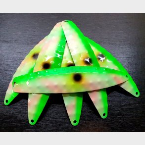 Hybrid Lille Nr. 53 Frv. Father Of Pearl