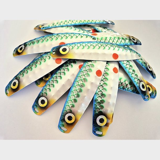 Hybriden Lille Kge_Bugt silden 2025