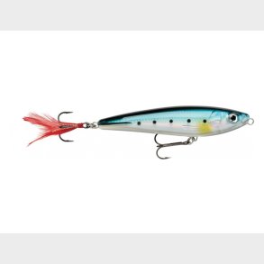 Rapala Walk The Dog Biue Sardine