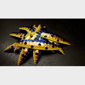 Hybrid Stor Nr. 27. Sweedish Melon Cobber