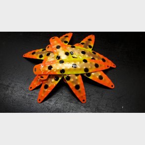 Hybrid Stor Nr. 39. Skne Melon Cobber