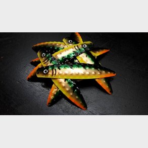 Hybrid Stor Nr. 41 Metallic Green - Cobber - Fluo Yellow Tiger