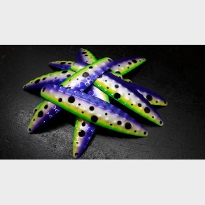 Hybrid Stor Nr. 929 Purple - Pearl - Fluo Green