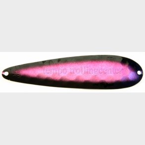 Northern King Mag PT