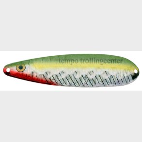 Pirat Nr 8 Tobis/Hologrem