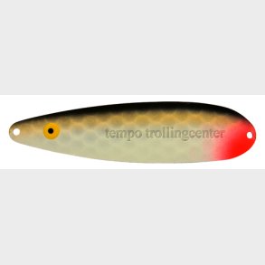 Pirat Nr 203 Nokia Glow