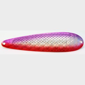 Northern King Mag H RP