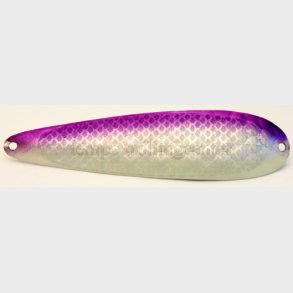 Northern King Mag H GLP